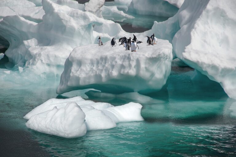 penguins, iceberg, sea-6086503.jpg